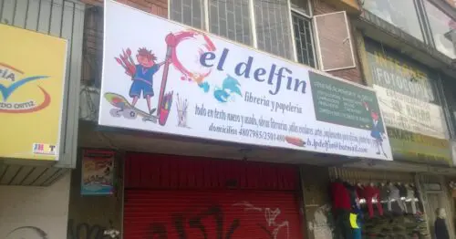 EL DELFIN EL DELFIN